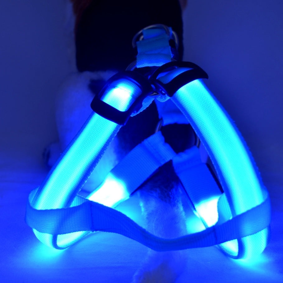 Arnés de Perro con Luz LED: Visibilidad Nocturna y Comodidad Total