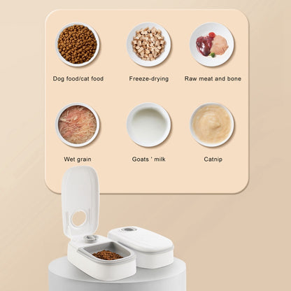 Alimentador Automático Inteligente para Mascotas - Comedero con Temporizador y Cuenco de Acero Inoxidable