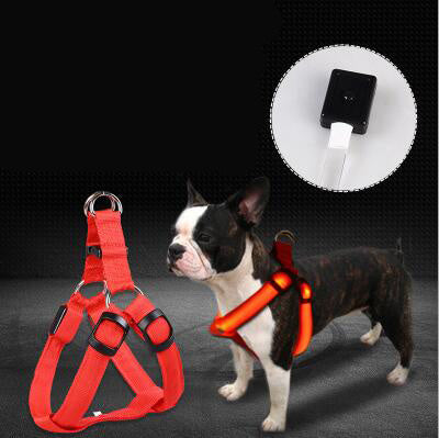 Arnés de Perro con Luz LED: Visibilidad Nocturna y Comodidad Total