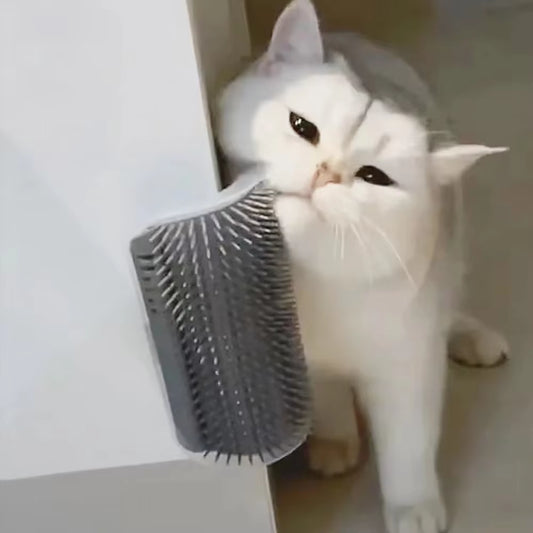 Peine Cepillo Para Mascotas, Juguete Para Gatos Más Suave, Peine De Masaje Con Hierba Gatera, Rascador Facial Para Gatitos, Cachorros Y Gatos, Accesorios